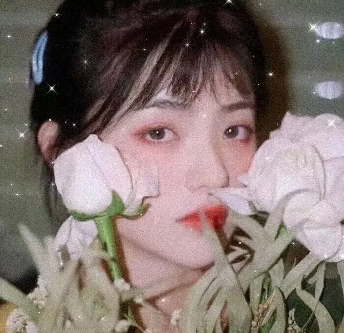 血鳄深渊