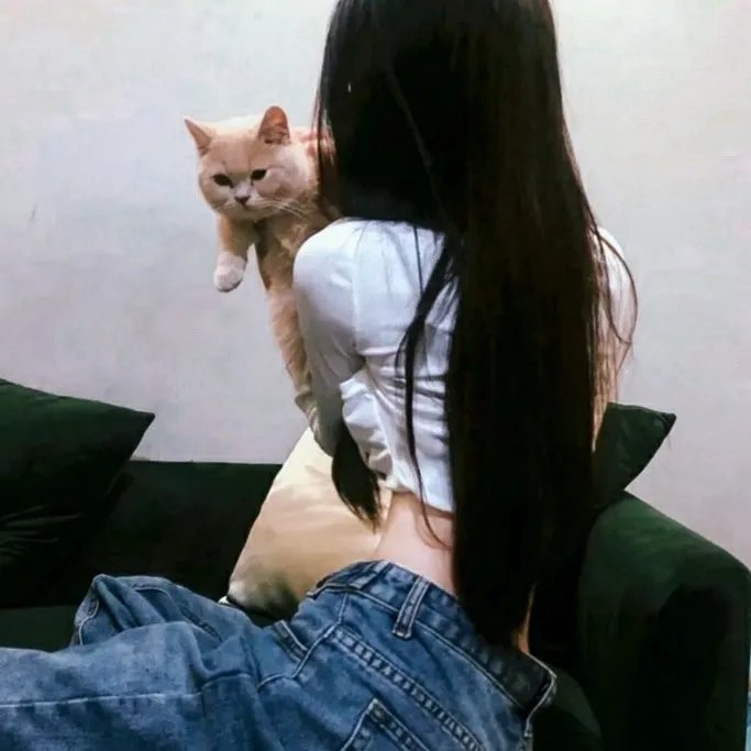 洪拳小子